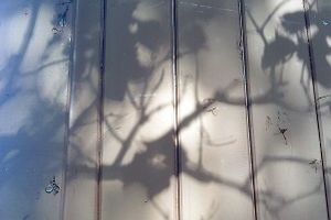 Notes : Matthijs ENGELBERTS "Défis du récit scénique"