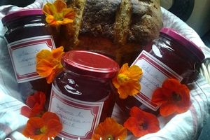Recette de la gelée de fleurs de Capucine