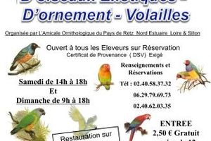 Bourse aux oiseaux exotiques à CORSEPT