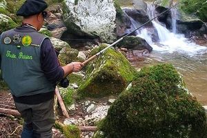 Deux pêcheurs pour une rivière