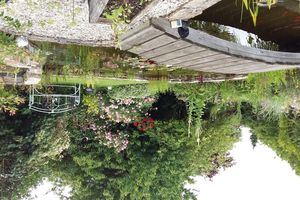 Magical Garden