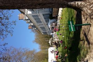 Fête des plantes 1ère