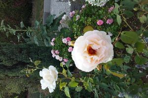 De retour sur le blog!