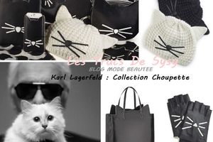 Collection « Fancy Feline » by Karl Lagerfeld !