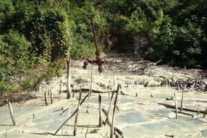 ¡NO a la actividad petrolera dentro del Parque Nacional Calilegua!