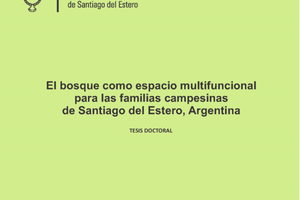 La multifuncionalidad del bosque en Santiago del Estero. (Investigación).