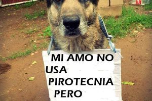 Pirotecnia