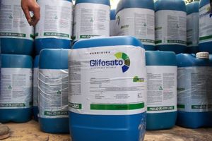 Más de 500 evidencias de contaminación ambiental.