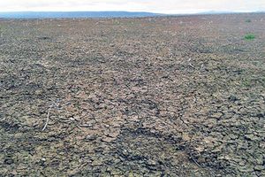 Desierto con factor humano