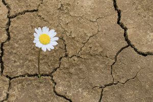 ¿Qué es la Resiliencia?