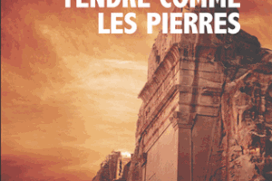 "Tendre comme les pierres", de Philippe Georget --- un long voyage au bout du silence