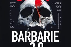 "Barbarie 2.0", d'Andrea H. Japp