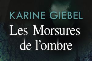 "Les morsures de l'ombre", de Karine Giébel