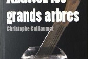 "Abattez les grands arbres", de Christophe Guillaumot