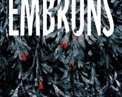 "Embruns", de Louise Mey