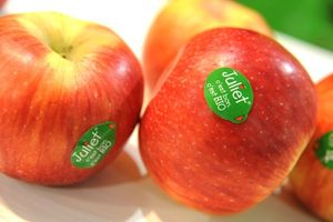 Nouvelle vente de pommes !