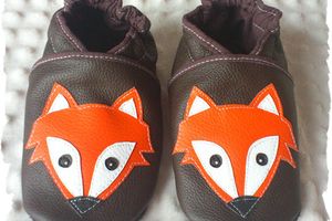 quand le Petit Prince rencontra le Renard...
