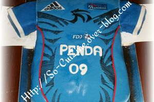 Maillot de Handball
