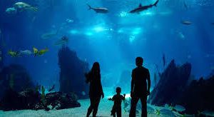 Réduction sur l' entrée à l' Aquarium De Lyon