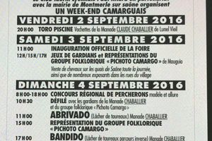 Foire Aux chevaux de Montmerle sur Saône 2016