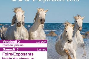 Montmerle sur saône :Foire du 2 au 4 septembre 2016