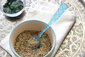 Gomasio à la spiruline