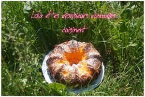 Gâteau à l'orange ( jus et pulpes d'orange )