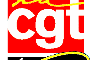Motion « Solidarité avec le peuple palestinien » votée au VIII e congrès de la CGT Educ’action