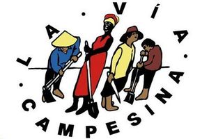 Symposium international de la FAO sur l’Agroécologie, à Rome : « Aujourd'hui, une fenêtre s'est ouverte sur ce qui a été pendant cinquante ans la cathédrale de la révolution verte »