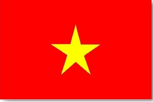 Vietnam-Russie: objectif de 20 milliards de dollars d'échanges commerciaux en 2020