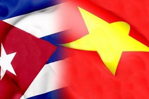 Activités de la Vice-Présidente de l'AN vietnamienne Tong Thi Phong à Cuba