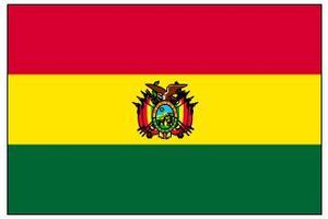 Le président bolivien déclare que le Venezuela n'est pas seul