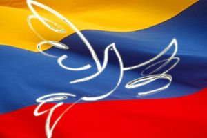 Les FARC-AP annoncent la création d'une Assemblée Permanente
