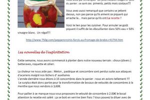 Feuille de chou du 8 septembre