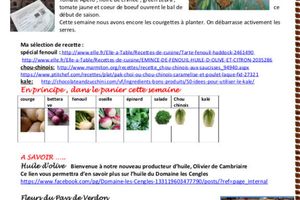 Feuille de chou du 2 mars