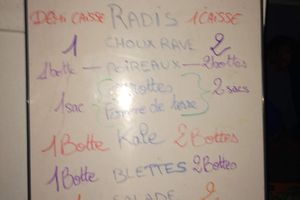 Feuille de chou du 24 novembre 2016