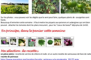 Feuille de chou du 27 avril