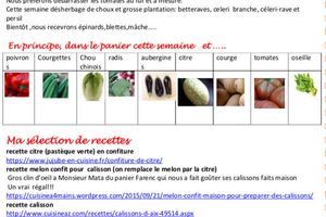 Feuille de chou du 14 septembre