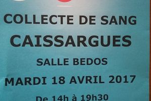 Prochaine collecte de Sang