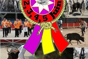 Demandez le Programme de la Feria de Caissargues !