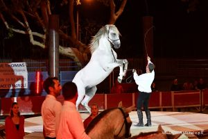 Spectacle Équestre de la Compagnie Andalucia