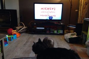 Poupette, enfant de 2 ans, regarde la TV