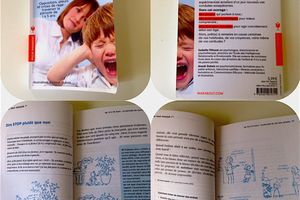Synthèse du livre d'Isabelle Filliozat "J'ai tout essayé"