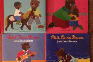 Petit ours brun