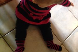 Mode bébé : en rayé rose et bleu