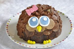 Gâteau Hibou ou chouette en pas à pas