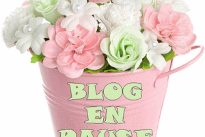 BLOG EN PAUSE !