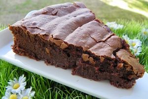 GATEAU AU CHOCOLAT AU TM5 (thermomix)