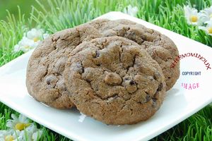 COOKIES CHOCOLAT NOISETTE (thermomix)