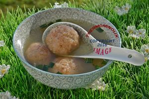 SOUPE CHINOISE AUX BOULETTES DE CREVETTE (thermomix)